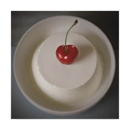 Christine Sainte-Laudy 'Cherry On The Pudding' Canvas Art,24x24